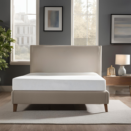 12" Memory Foam Mattress