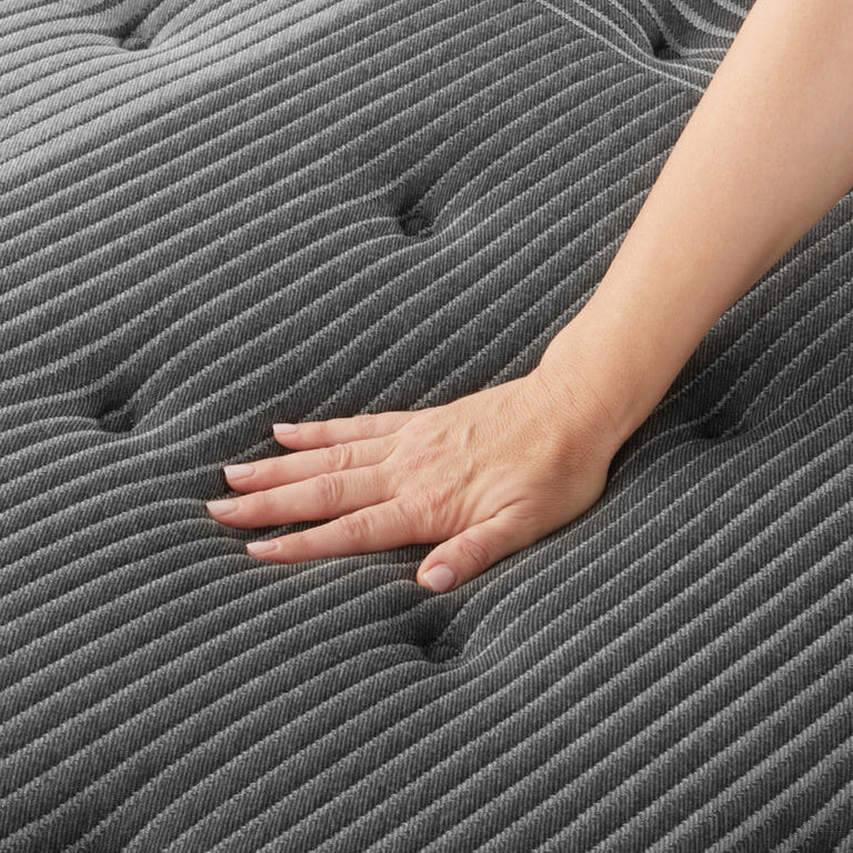 Black B-Class Plush Mattress by Beautyrest